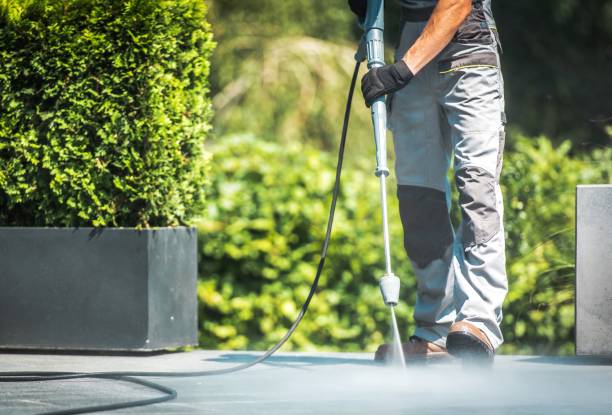 Best Driveway Cleaning and Restoration in Fayette, MS