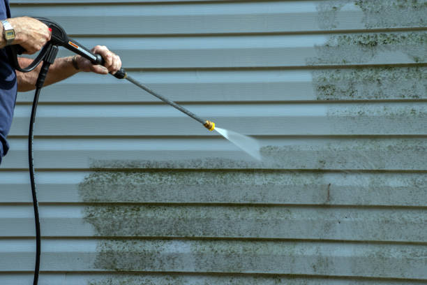 Best Soft Washing for Delicate Surfaces in Fayette, MS